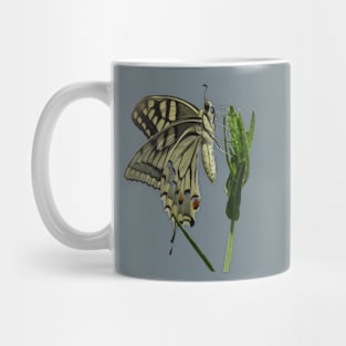 Scarce Swallowtail Butterfly Vector Art Mug